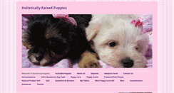 Desktop Screenshot of buttercuppuppies.com