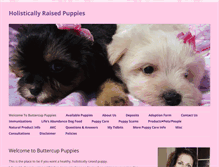 Tablet Screenshot of buttercuppuppies.com